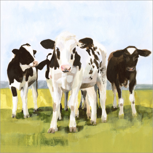 Poster Kühe auf der Weide I