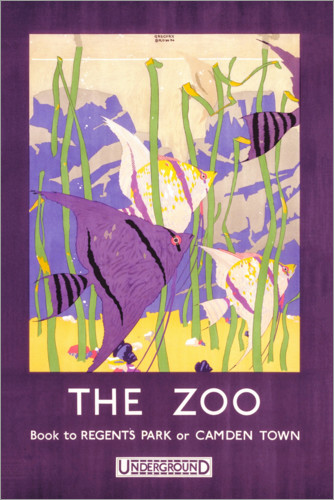 Poster Der Zoo (englisch)