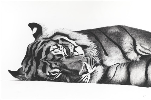 Poster Schlafender Tiger