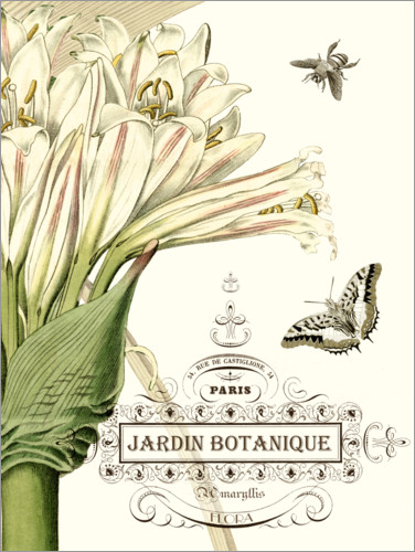 Poster Botanischer Garten II