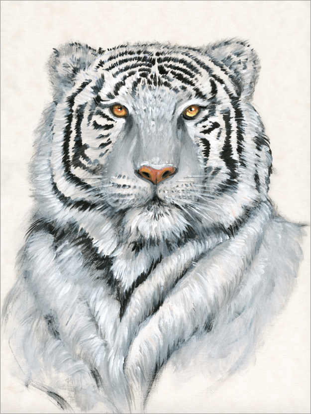 Poster Weißer Tiger