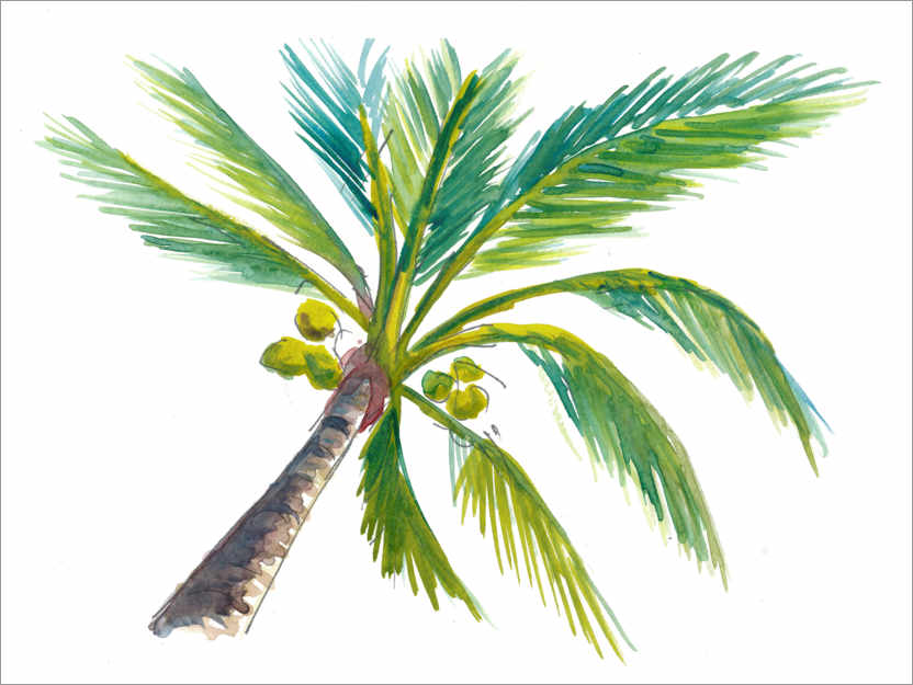 Poster Tropisches Palmenblatt