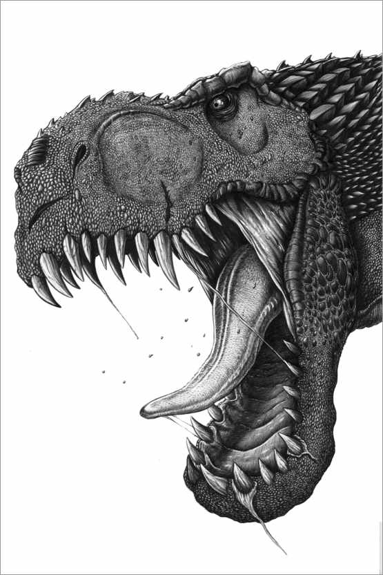Poster Brüllender Tyrannosaurus