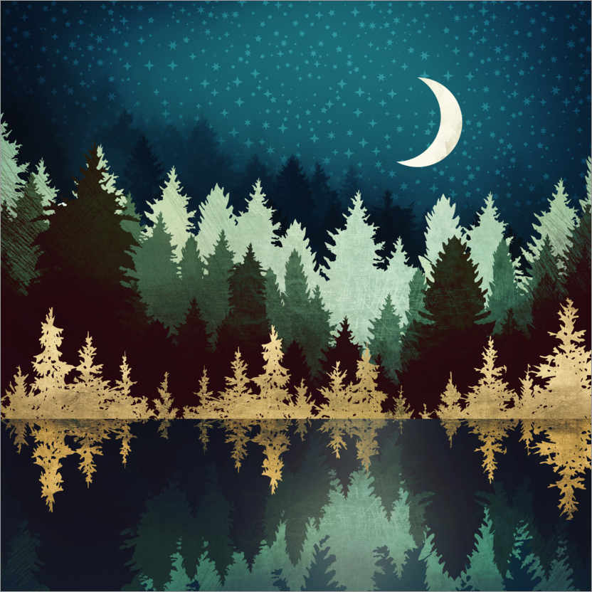 Poster Waldsee unter dem Sternenhimmel