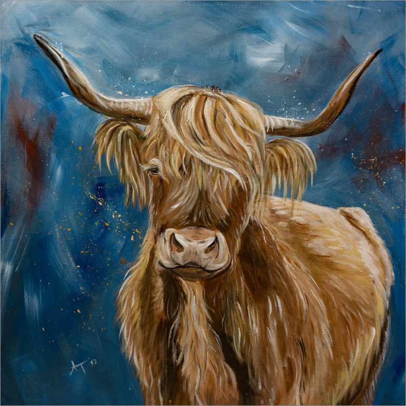 Poster Highland cow, hochlandkuh