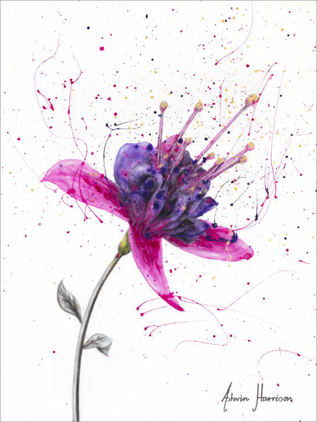 Poster Amethysten-Blüte