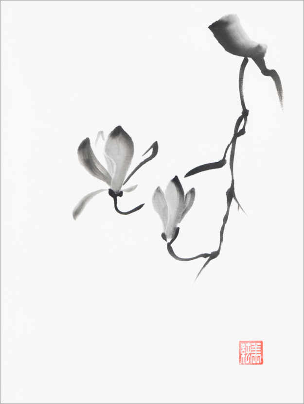 Poster Magnolienzweig mit zwei Blüten