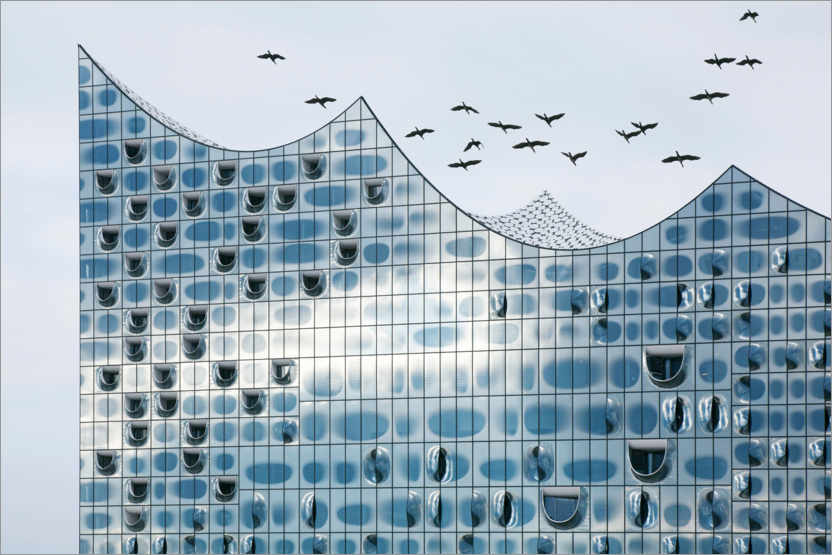 Poster Vögel fliegen über der Elbphilharmonie