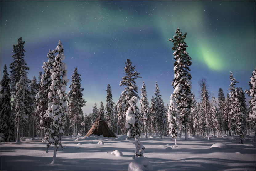 Poster Nordlichter über einem schneebedeckten Wald