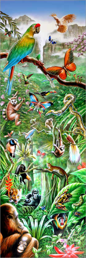 Poster Regenwaldpanorama
