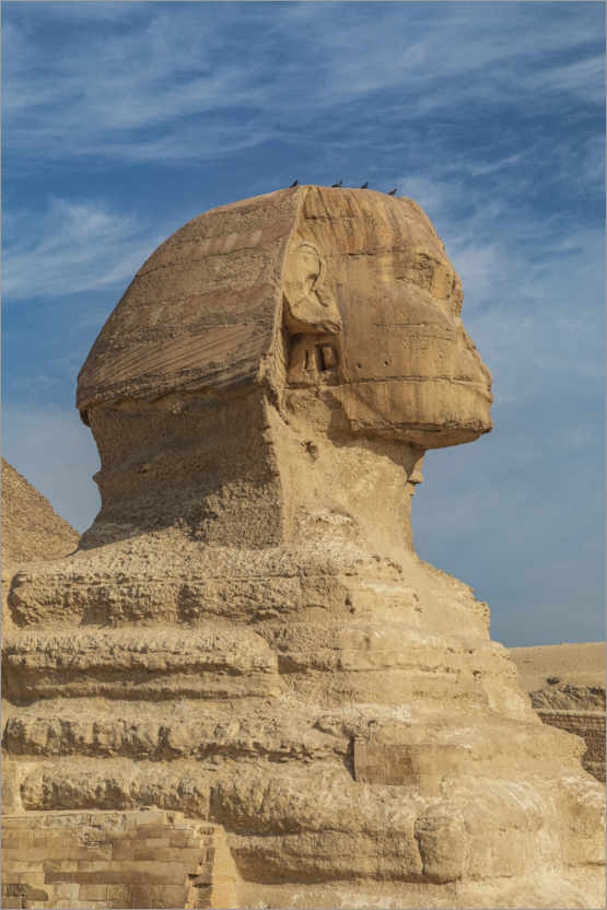 Poster Große Sphinx von Gizeh