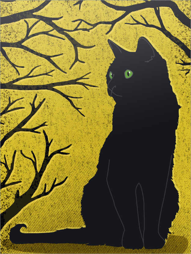 Poster Schwarze Katze im Sonnenlicht