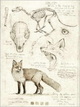 Poster Fuchs