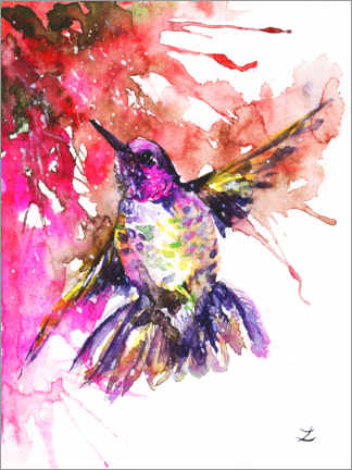 Poster Kolibri