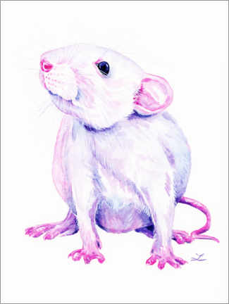 Poster Weiße Ratte
