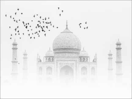 Poster Vögel über dem Taj Mahal