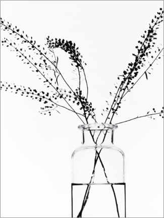 Poster Glasvase mit Zweigen I