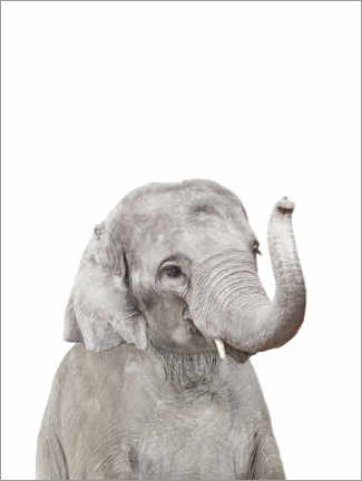 Acrylglasbild  Babyelefant - Sisi And Seb
