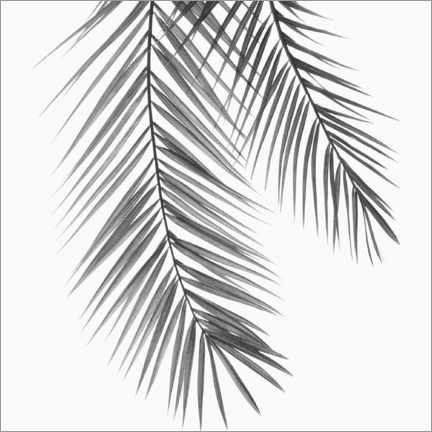 Leinwandbild  Palmenblätter - Sisi And Seb