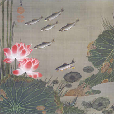 Acrylglasbild  Teich mit Fischen - Itô Jakuchu