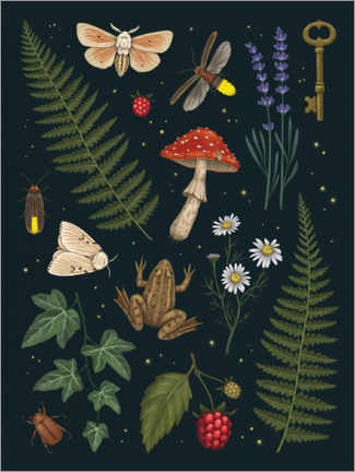 Wandbild  Sommernächte - Vasilisa Romanenko