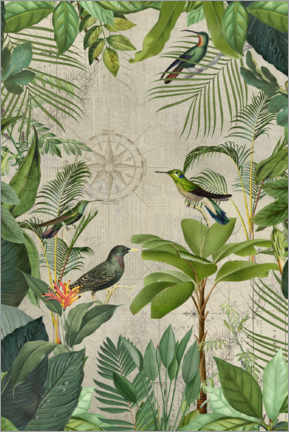 Poster  Tropische Reise der Vögel - Andrea Haase