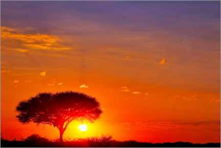 Holzbild  Sonnenaufgang in Namibia - wiw