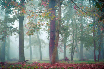 Poster  Herbst im Wald - Martin Wasilewski