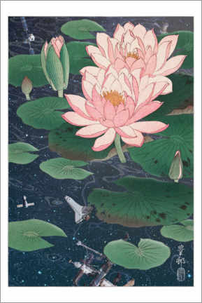 Poster Wasserlilien im Weltall
