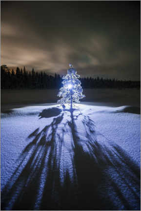 Poster Einsamer Baum bei Nacht in der Winterlandschaft
