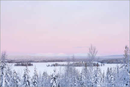 Poster Rosa Sonnenuntergang über schneebedeckter Waldlandschaft