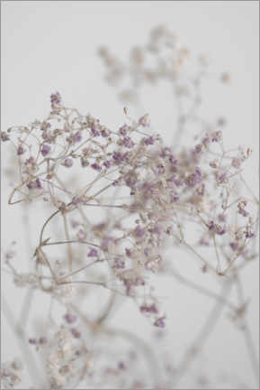 Leinwandbild  Zarte lila Trockenblumen und Zweige - Studio Nahili