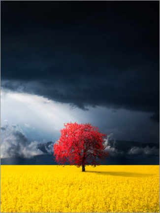 Poster Roter Baum