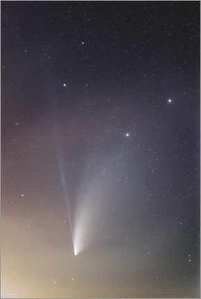 Wandbild  Komet Neowise im Sternbild Großer Wagen - Ulrich Beinert