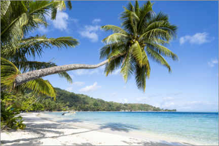 Poster Matira Beach auf Bora Bora