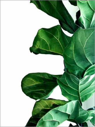 Poster Green Leaves IV