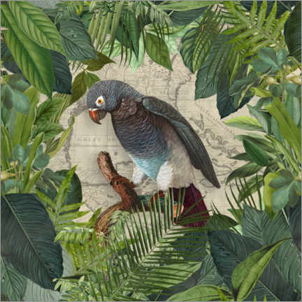 Poster Papageien-Paradies-Garten