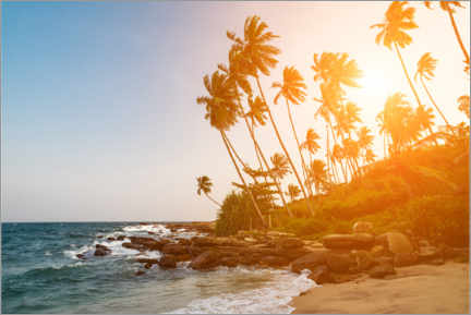 Poster Palmen und Meer im Sonnenuntergang