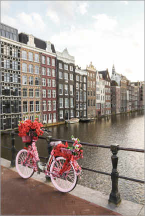 Poster Pink Bike in Amsterdam