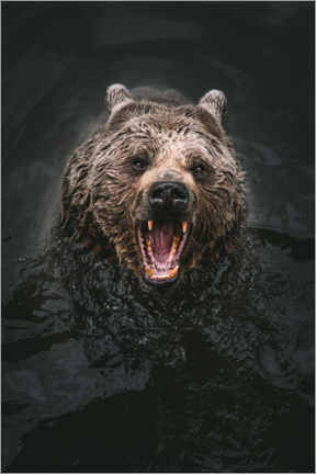 Leinwandbild  Bär im Wasser - Marcel Gross