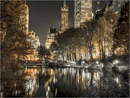 Poster Central Park bei Nacht