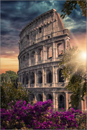 Poster  Flavian Amphitheater - Manjik Pictures