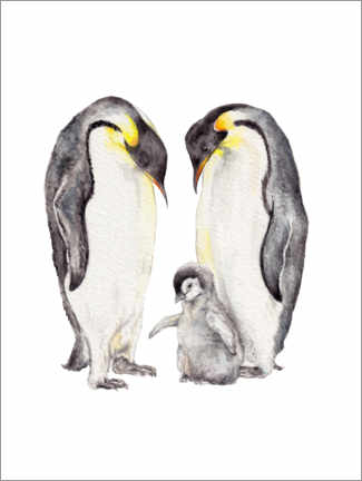Leinwandbild  Pinguinfamilie - Wandering Laur