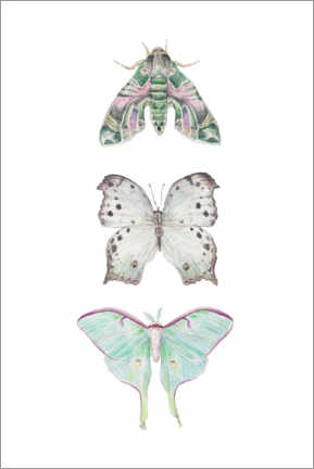 Poster  Minzmotten und Schmetterlinge - Wandering Laur
