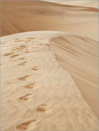 Poster Spuren im Sand
