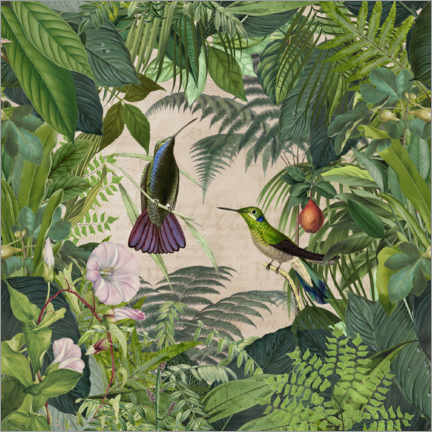 Poster Tropischer Kolibri-Dschungel