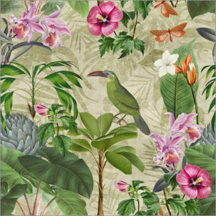 Poster  Tukane im tropischen Paradies - Andrea Haase