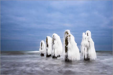 Hartschaumbild  Buhnen an der Ostseeküste bei Kühlungsborn im Winter - Rico Ködder