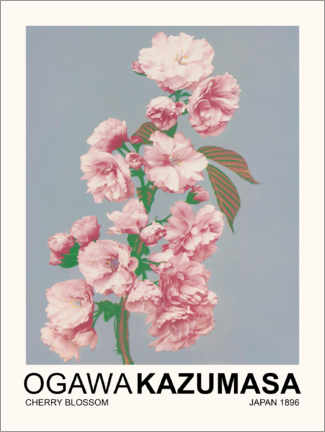 Holzbild  Cherry Blossom - Ogawa Kazumasa