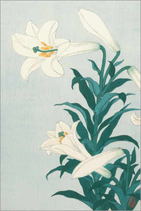 Poster  Lilien, ca. 1900 - Ohara Koson